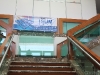 IMG_1342 copy
